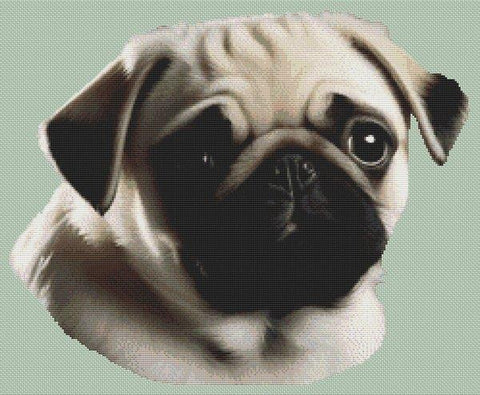 Fawn Pug 2 - White Willow Stitching