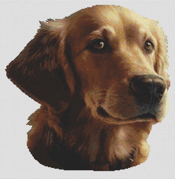 Golden Retriever 2 - White Willow Stitching