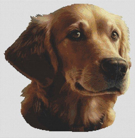 Golden Retriever 2 - White Willow Stitching