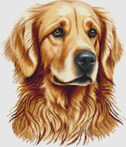 Golden Retriever: Portrait IV - DogShoppe Designs