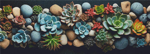 Desert Cacti And Succulents - X Squared Cross Stitch