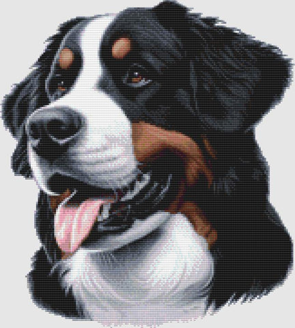 Bernese Mountain Dog: Portrait - DogShoppe Designs