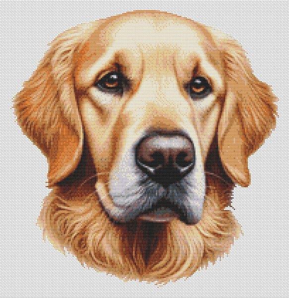 Golden Retriever: Ralph - White Willow Stitching