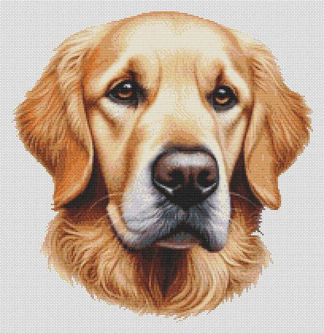 Golden Retriever: Ralph - White Willow Stitching