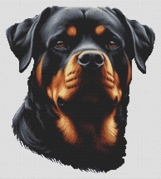 Rottweiler 2 - White Willow Stitching