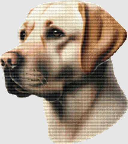 Labrador Retriever: Portrait (Yellow) - DogShoppe Designs