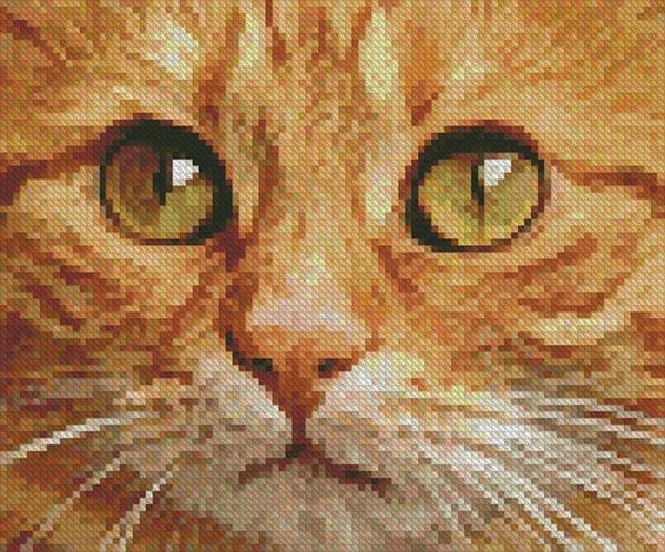 Mini Ginger Cat Close Up - Artecy Cross Stitch