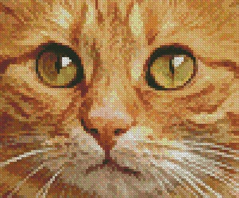 Mini Ginger Cat Close Up - Artecy Cross Stitch