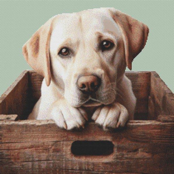 Lab In A Box - White Willow Stitching