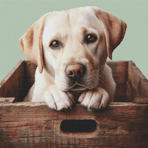 Lab In A Box - White Willow Stitching