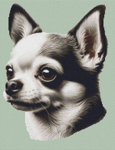 Black & White Chihuahua - White Willow Stitching