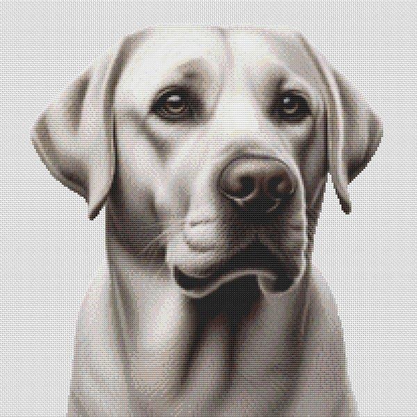 Silver Labrador Retriever - White Willow Stitching