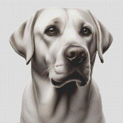 Silver Labrador Retriever - White Willow Stitching