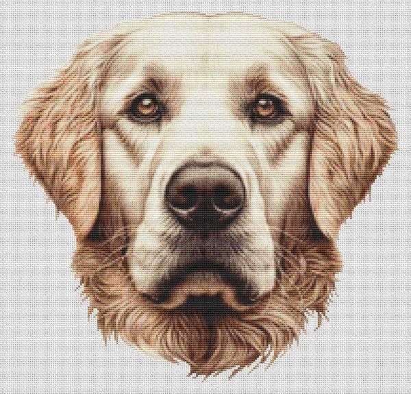 Buff Golden Retriever - White Willow Stitching