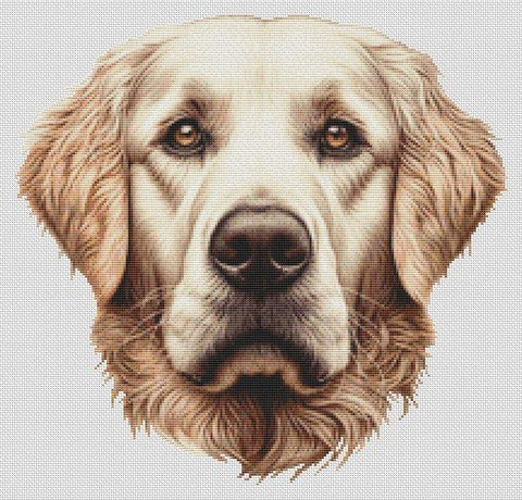 Buff Golden Retriever - White Willow Stitching