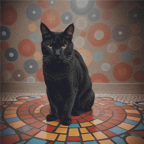 Black Cat - X Squared Cross Stitch