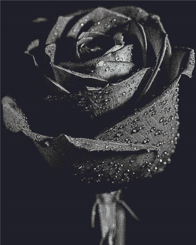 Grey Rose - X Squared Cross Stitch