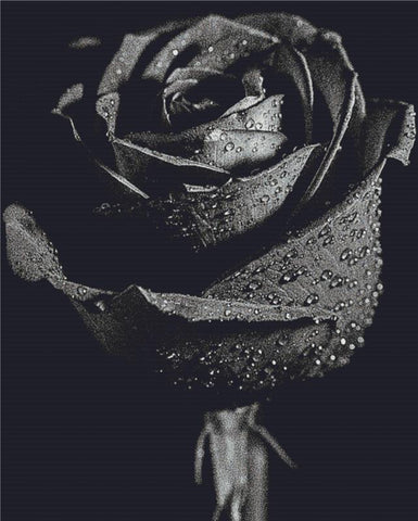 Grey Rose - X Squared Cross Stitch