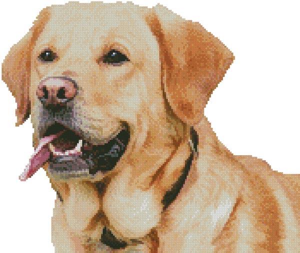 Mini Labrador Retriever (No Background) - Artecy Cross Stitch