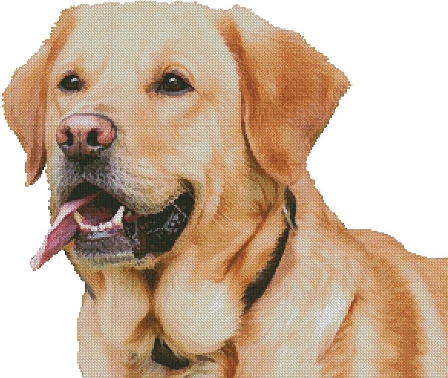 Labrador Retriever (No Background) - Artecy Cross Stitch