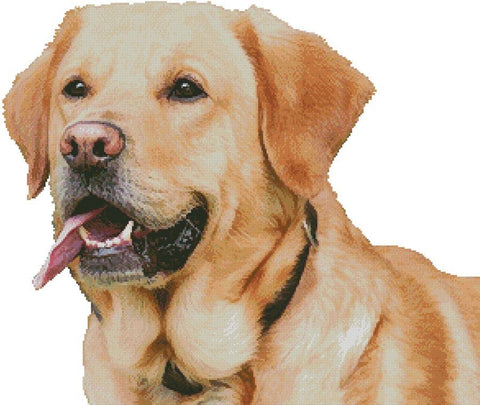 Labrador Retriever (No Background) - Artecy Cross Stitch