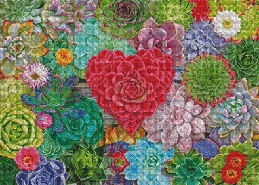 Succulent Love - Artecy Cross Stitch