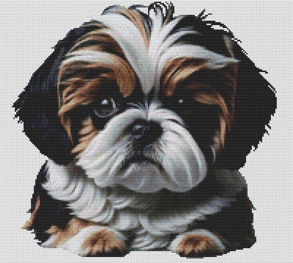 Black, Gold And White Shih Tzu - White Willow Stitching
