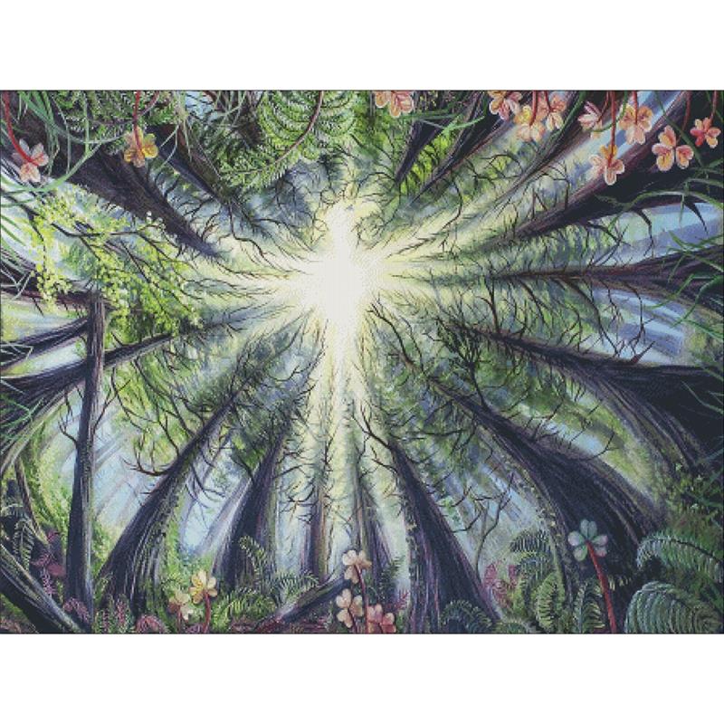 Phoenix In The Redwoods - Charting Creations