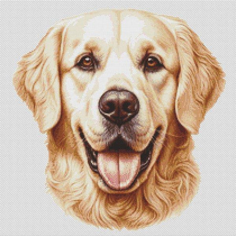 Golden Retriever Smile - White Willow Stitching