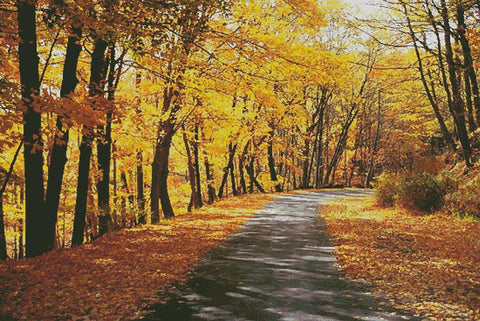 Path Through Autumn Trees (Large) - Artecy Cross Stitch