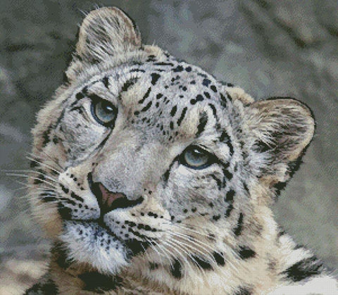 Snow Leopard 3 - Artecy Cross Stitch