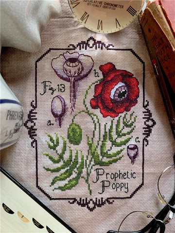 Prophetic Poppy - Noctiflora Designs