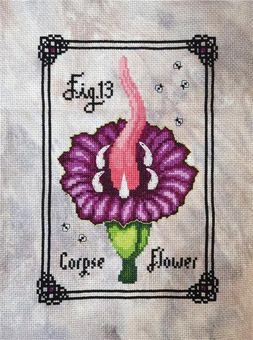 Corpse Flower - Noctiflora Designs