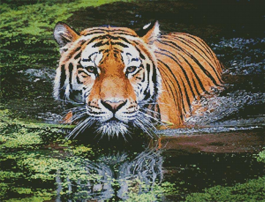 Tiger In Swamp - Artecy Cross Stitch