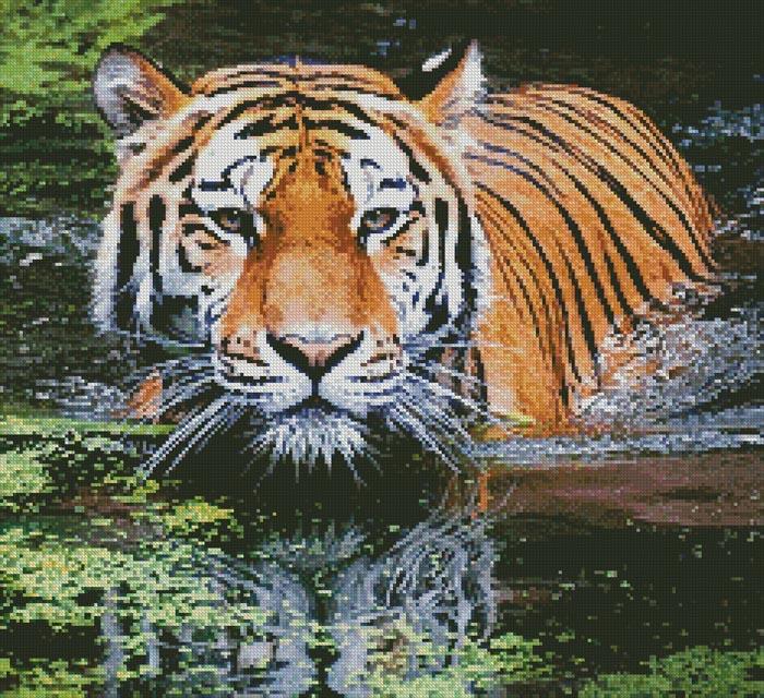 Tiger In Swamp (Crop) - Artecy Cross Stitch