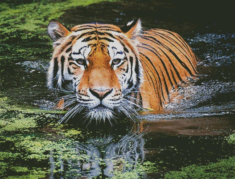 Tiger In Swamp (Large) - Artecy Cross Stitch