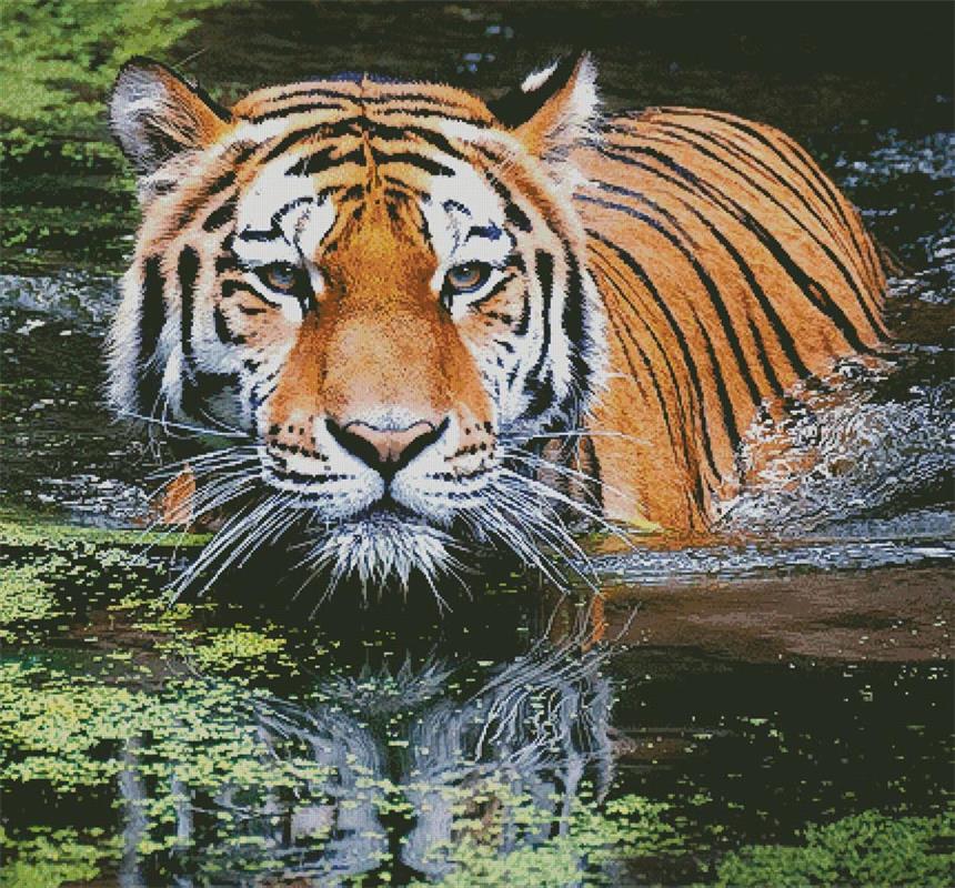 Tiger In Swamp (Large Crop) - Artecy Cross Stitch