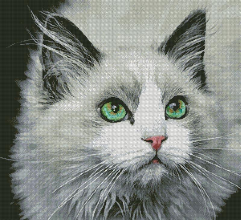 Those Eyes - Artecy Cross Stitch