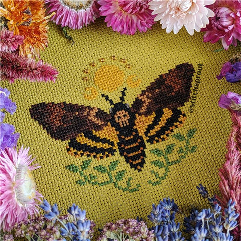 Deaths-Head Hawkmoth Sunrise - StitchSprout Cross Stitch