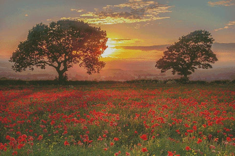 Poppies Sunset (Large) - Artecy Cross Stitch