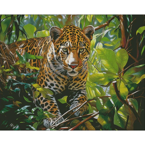Silence In The Jungle - Charting Creations