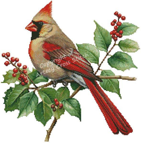 Female Cardinal And Holly - Artecy Cross Stitch
