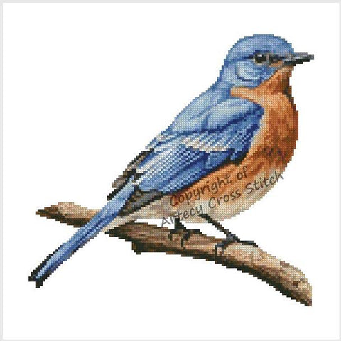 Eastern Bluebird - Artecy Cross Stitch
