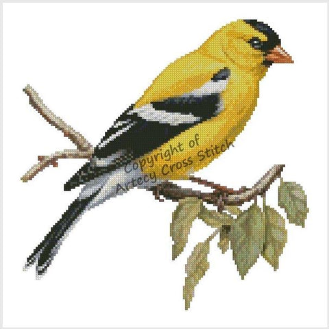 American Goldfinch On A Branch - Artecy Cross Stitch