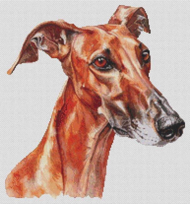 Red Greyhound - White Willow Stitching