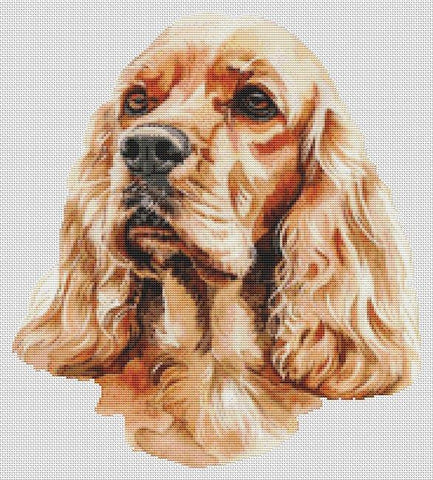Artistic Cocker Spaniel - White Willow Stitching