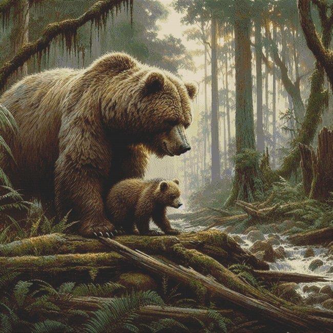 Grizzly Bears - White Willow Stitching