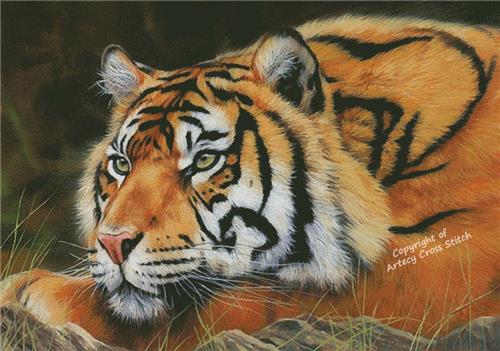 Sumatran Tiger Resting (Large) - Artecy Cross Stitch