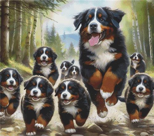 Bernese Mountain Dog Family - White Willow Stitching