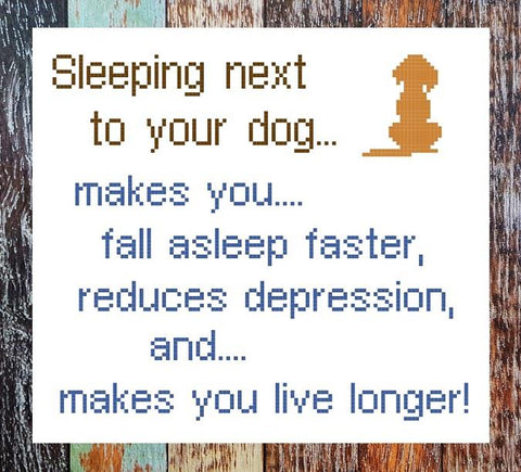 Sleep Next To Your Dog - Iris Originals